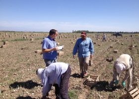 Se estancó la creación de empleo en el sector agropecuario por desastres climáticos y falta de competitividad