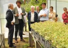 Presentan un Plan Foresto Industrial para duplicar la producción en Buenos Aires