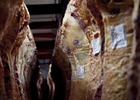 Corralito contra la evasión cárnica: suspendieron a operadores que no pudieron justificar retenciones indebidas de IVA