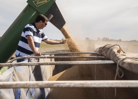 Por los mayores costos y los problemas climáticos, creció la cantidad de empresas del agro con peores resultados