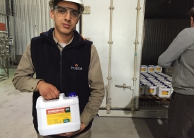 Un logro argentino: aprobaron la comercialización de cártamo modificado que expresa quimosina bovina en su semilla