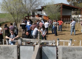 Piden que las cooperativas y mutuales no paguen Impuesto a las Ganancias