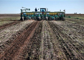 La falta de agua ya afecta a más del 80% de las regiones agrícolas