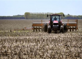 Las lluvias trajeron alivio al campo para continuar con la siembra de soja y maíz