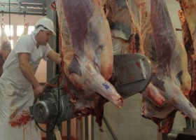 El Gobierno dejó sin efecto el Registro de Operaciones de Exportación de Carnes