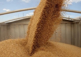 Sin trabas, las exportaciones de harina de trigo cierran en el mayor nivel en cinco años