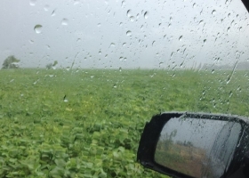 Recién el fin de semana se prevén lluvias importantes en la zona pampeana: alerta por altas temperaturas en la región semiárida