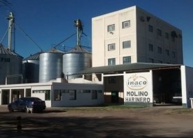 Molinos harineros con una capacidad ociosa (teórica) superior al 50% por quinto año consecutivo