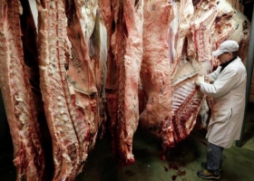 Faena bovina registró la segunda mejor marca en ocho años