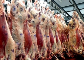 Argentina logra mejores condiciones para el ingreso de carne enfriada a Israel