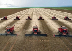 Brasil volverá a duplicar la cosecha de soja de la Argentina