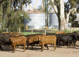 RENSPA: productores podrán tramitar el 100% de su inscripción de manera online