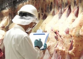 Destacan un "histórico" acuerdo con China para la exportación de carne