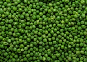 Comienza la inscripción de operadores para la exportación de arveja seca a China