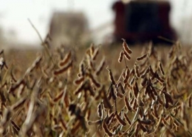 Acsoja advierte que los costos y las condiciones climáticas complican al NOA