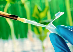 Se reglamentó la Ley de Promoción de la Biotecnología
