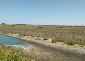 La Pampa : De la inundación a la sequía