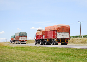 La nueva cosecha, con cambios en el transporte: ¿bajarán los costos?