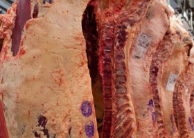 Nuevas oportunidades para la exportación de carnes