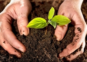Producirán biofertilizantes a partir de residuos de cerveza artesanal