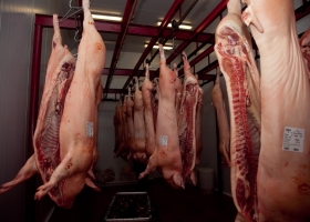 Argentina sueña con morderle un poco del negocio a Brasil: en 2017 logró colocar casi 1800 toneladas de carne porcina en Rusia