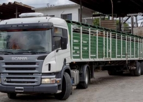 Senasa suma un nuevo medio de pago para DT-e