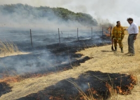 El incendio en la localidad bonaerense de Tronquist ya afectó 20 mil hectáreas