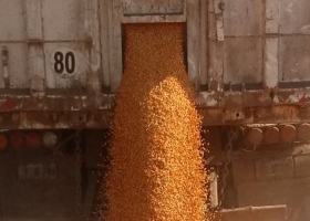 Entidades repudiaron la violencia y aseguran que cayó 70% el ingreso de camiones a los puertos