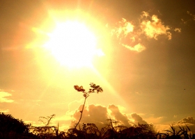 Pronostican temperaturas máximas entre 35° a 38° para toda la semana