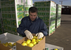 El Senasa reducirá a partir de hoy más trámites para la producción.