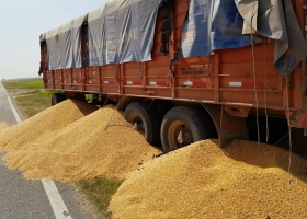 Advierten que aún hay problemas con camioneros en el puerto de Quequén.