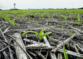 Aapresid presenta un programa para garantizar la sustentabilidad en la producción agropecuaria