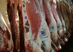 Claves para entender el crecimiento de las exportaciones de carne