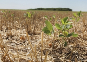 Acordaron solicitar la declaración de emergencia agropecuaria en Santa Fe