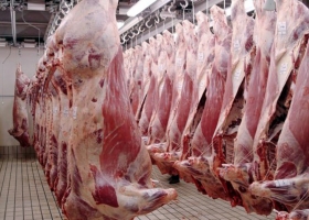 El Usda estimó que la Argentina exportará 350.000 toneladas de carne bovina en 2018