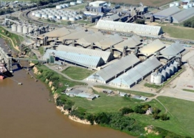 Santa Fe: aumentaron 54,6% las importaciones de porotos de soja en 2017