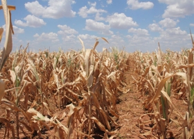Los gobernadores de la zona pampeana no quieren saber nada con la sequía para evitar la declaración de la emergencia agropecuaria