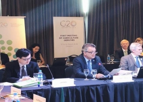 El G20 busca un futuro alimentario sostenible
