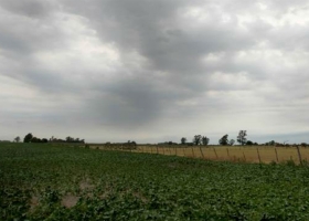 Las lluvias trajeron algo de alivio al campo, pero no reparan las pérdidas.