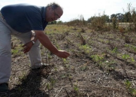 El BCRA prorroga plazos de mora para créditos de productores afectados