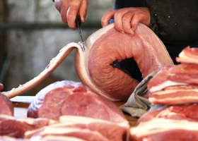 La nueva Mesa Nacional de Producción Porcina le pedirá una audiencia a Etchevehere