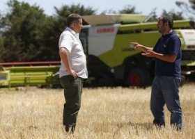 Cómo aumentar la intensidad de la innovación en las empresas del agro.