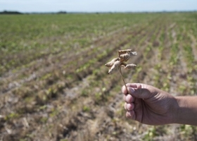 Hacia una gestión integral de riesgos en el campo.