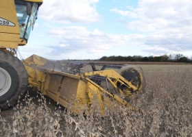 Sequía: por qué en soja hay rindes que van de 800 a más de 5500 kilos por hectárea.