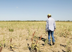 Santa Fe: productores en Emergencia Agropecuaria ya pueden tramitar su certificado online