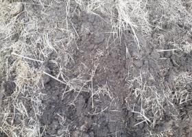 Índice de Anomalías de Evapotranspiración Real Acumulada: el nuevo método para determinar dónde se aplica la emergencia agropecuaria por sequía