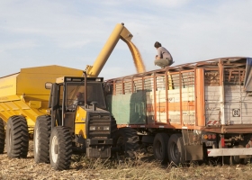 Ya rige el nuevo Sistema de Certificación de Productos de Origen Vegetal para exportación