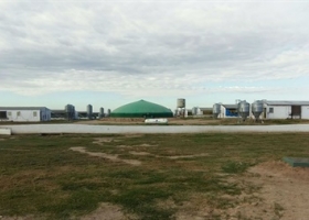 Una granja porcina de Córdoba ahorra 70% de energía con la producción de biogás.