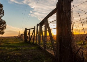 Herramientas para repensar el rol de la comunicación en el agro