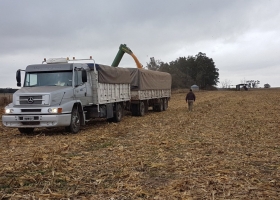 Nuevo recorte de la producción estimada de soja argentina: la sequía del verano finalmente llegó a la economía cotidiana